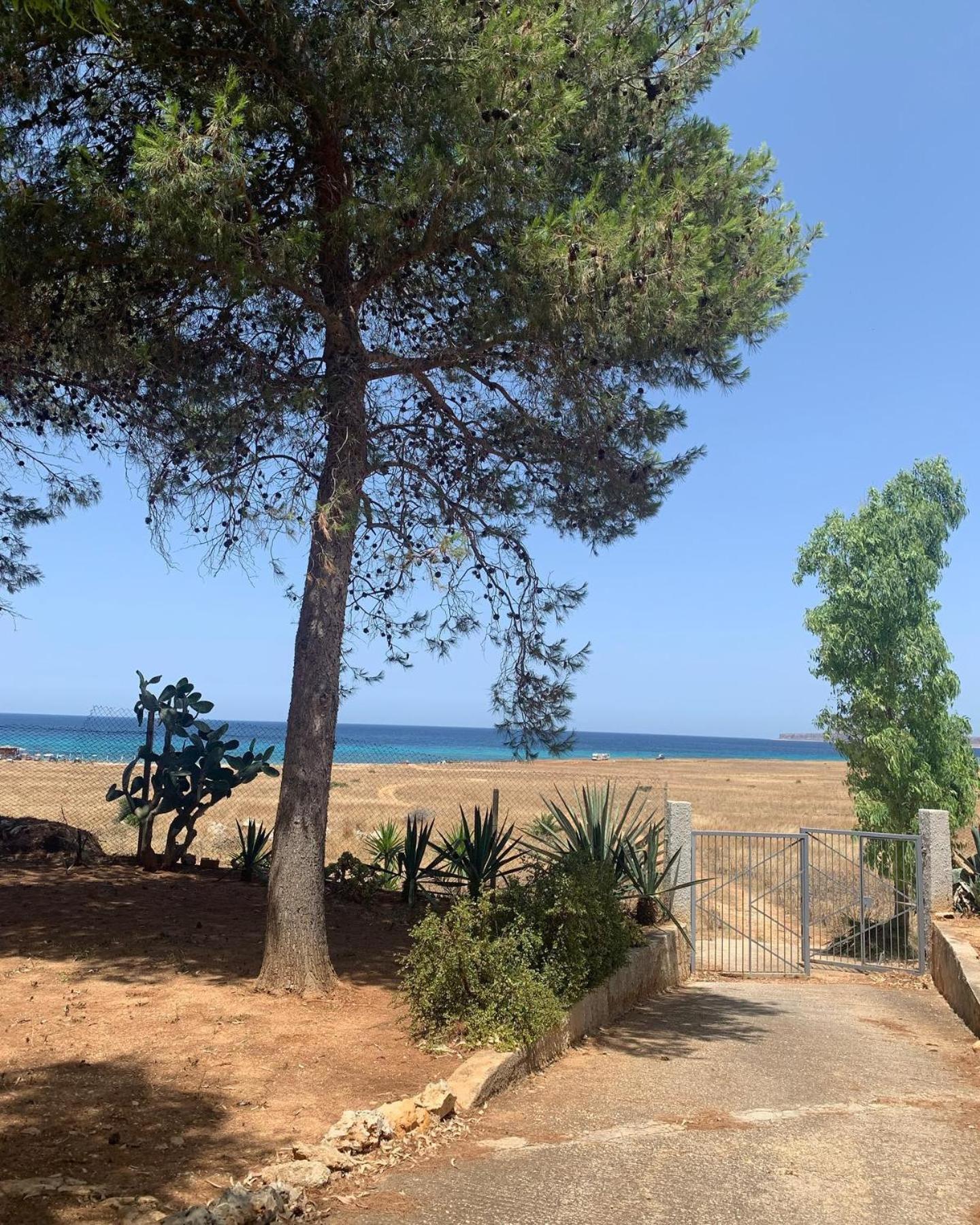 Appartamento I Tramonti Di Cofano Castelluzzo Exterior foto